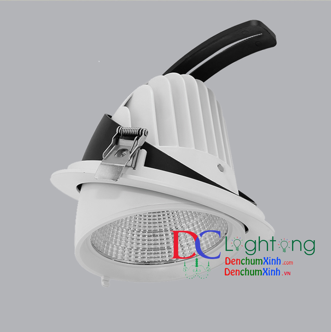 ĐÈN DOWNLIGHT  ÂM TRẦN ĐIỀU CHỈNH MPE 12W LẮP PHÒNG SÁCH