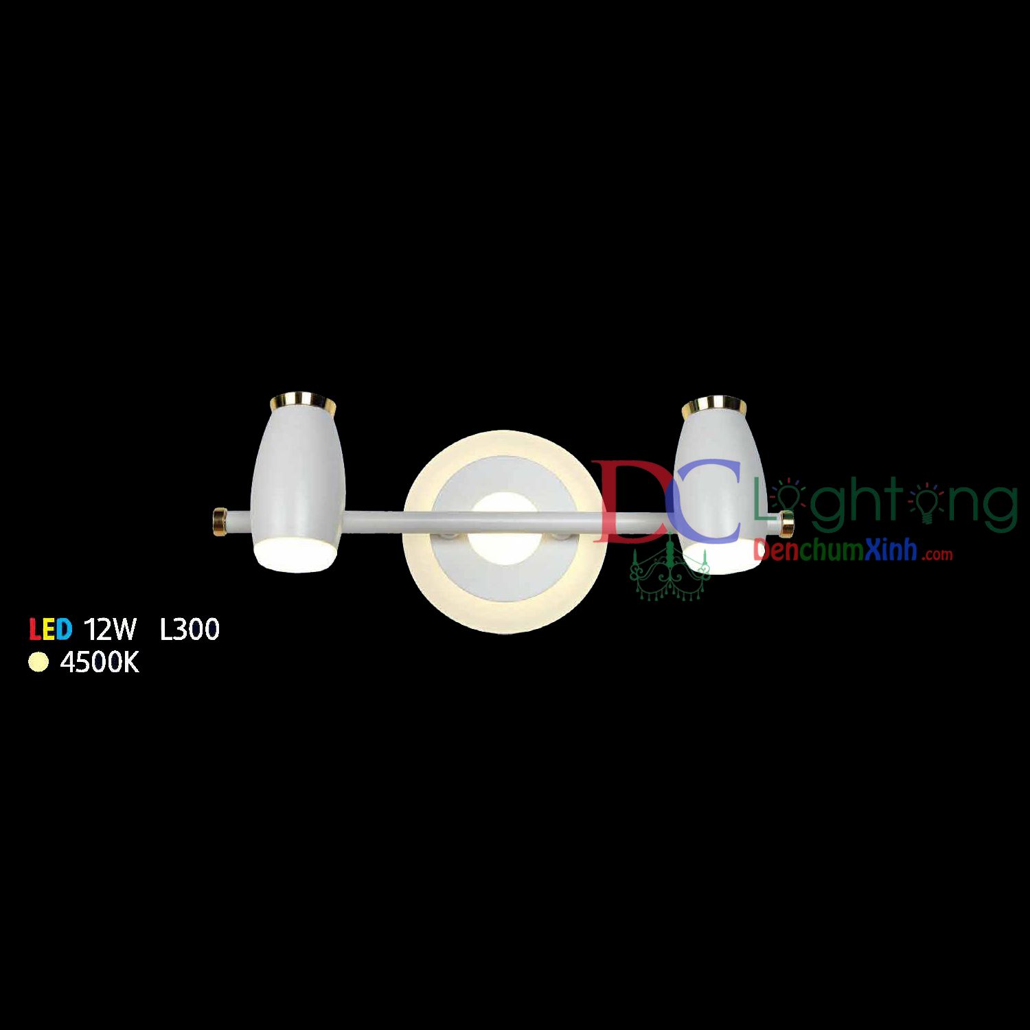 Đèn soi tranh - soi gương Led DCX9225/2 ( LED 12w )